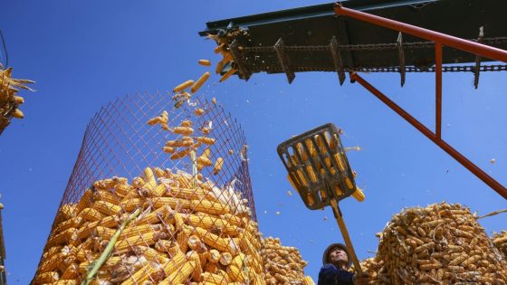 中国科学家凭空创造食物