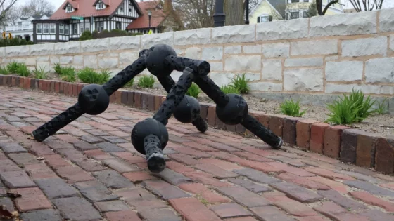 照片:Sam Kriegman/西北大学